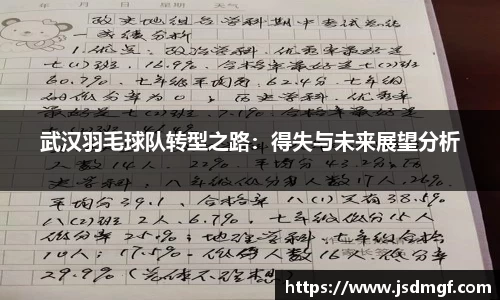 武汉羽毛球队转型之路：得失与未来展望分析
