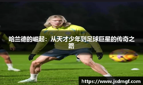 BB贝博